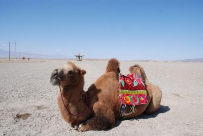 Foto del desierto de Gobi